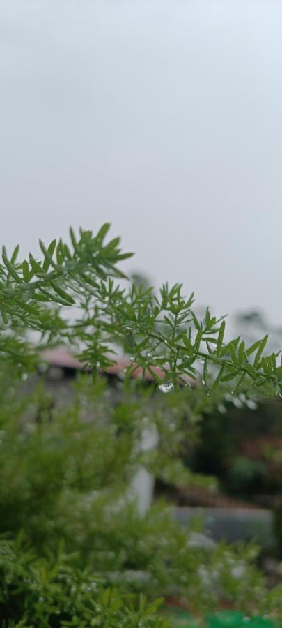 Doi Che Hotel Moc Chau Bagian luar foto